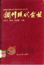 铜川现代企业 1995 PDF电子版封面 7560408729 倪雪年等主编
