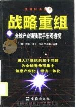 战略重组  全球产业强强联手宏观透视（1999 PDF版）