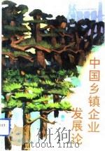 中国乡镇企业发展论（1993 PDF版）
