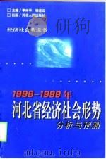 1998-1999年河北省经济社会形势分析与预测（1999 PDF版）