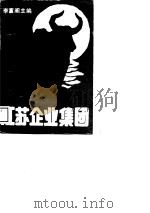 发展中的江苏企业集团（1988 PDF版）