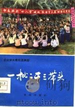 一批二干三带头 屯昌县学大寨、建设大寨县的基本经验验 1978 PDF电子版封面 3144·177 《一批二干三带头》写作组编