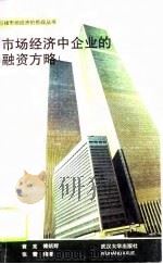 市场经济中企业的融资方略（1994 PDF版）