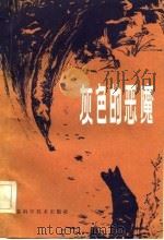 灰色的恶魔（1983 PDF版）