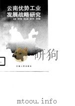 云南优势工业发展战略研究（1990 PDF版）