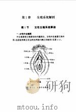 实用计划生育手术图解（1995 PDF版）