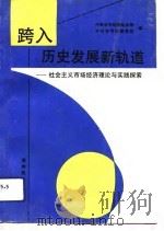 跨入历史发展新轨道  社会主义市场经济理论与实践探索（1994 PDF版）