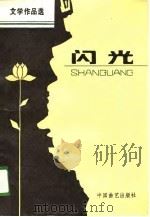 闪光  七台河矿区开发建设三十周年文学作品选（1988 PDF版）