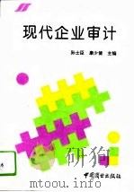 现代企业审计（1994 PDF版）