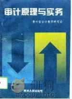 审计原理与实务（1994 PDF版）