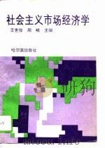 社会主义市场经济学（1993 PDF版）