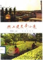 兴工建农奔小康（1992 PDF版）
