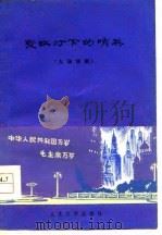 霓虹灯下的哨兵  九场话剧（1964 PDF版）