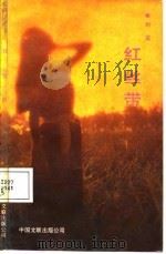 红丝蒂（1987 PDF版）