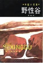野性谷  中篇小说集（1990 PDF版）