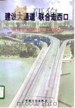 建设大通道 联合走西口 西北五省 区 对独联体中亚五国经贸关系战略取向 1998 PDF电子版封面 7800586537 魏立桥,金平主编