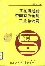 正在崛起的中国有色金属工业总公司 1990 PDF电子版封面 7010007772 费子文主编