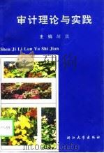 审计理论与实践（1996 PDF版）
