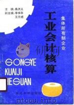 集体所有制企业工业会计核算 1990 PDF电子版封面 7563402373 桑洪义主编