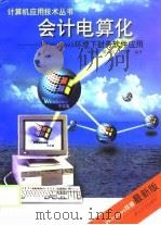 会计电算化 Windows环境下财务软件应用（1999 PDF版）