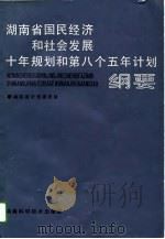 湖南省国民经济和社会发展十年规划和第八个五年计划纲要（1991 PDF版）