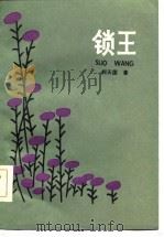 锁王（1985 PDF版）