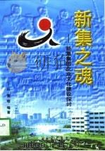 新集之魂  新集集团企业文化建设探讨（1997 PDF版）