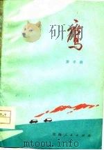 鹰（1977 PDF版）