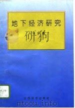 地下经济研究（1994 PDF版）