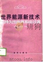 世界能源新技术  向持久性能源系统过渡（1989年02月第1版 PDF版）