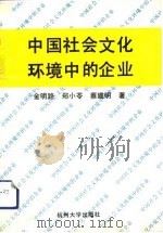 中国社会文化环境中的企业（1993 PDF版）
