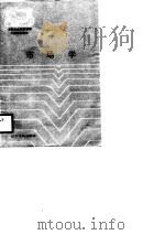 市场学 1988 PDF电子版封面 7205005582 张志栋主编
