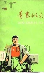青春似火（1975 PDF版）