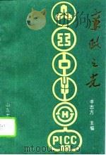 廉政之光（1991 PDF版）