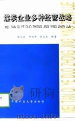 煤炭企业多种经营战略（1998 PDF版）