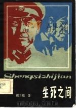 生死之间（1981 PDF版）