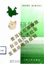 普洱哈尼族彝族自治县经济社会发展战略与规划（1992 PDF版）