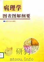 病理学图表图解纲要（1997 PDF版）
