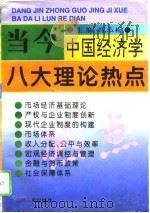 当今中国经济学八大理论热点  全国高校社会主义经济理论与实践研讨会第八次会议论文集（1995 PDF版）