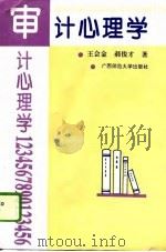 审计心理学（1992 PDF版）