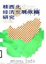 桂西北经济发展战略研究（1992 PDF版）