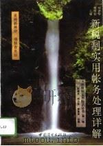 新税制实用帐务处理详解（1994 PDF版）