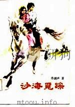 沙海觅踪（1986 PDF版）