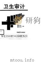 卫生审计（1990 PDF版）