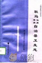 耿马傣族佤族自治县卫生志（1995 PDF版）