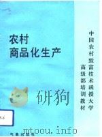 农村商品化生产（1991 PDF版）