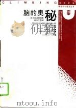 脑的奥秘  脑功能及其细胞和分子基础（1995 PDF版）