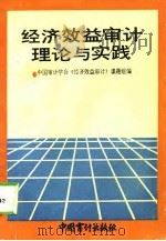 经济效益审计理论与实践（1993 PDF版）