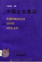 中国企业集团（1992 PDF版）