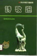 诗歌选 1980-1990 1990 PDF电子版封面 7805420440 本社
